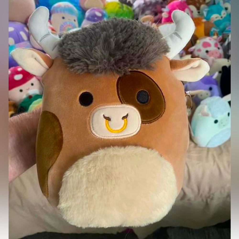 7.5” shep the Bull Squishmallow